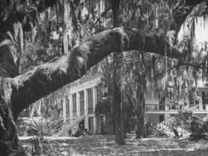 Southern Landscape
